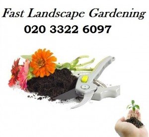 Gardener-London